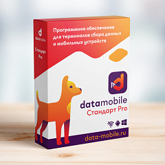 ПО DataMobile, версия Стандарт Pro в Бийске