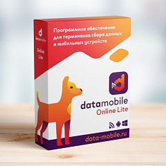 ПО DataMobile, версия Online Lite в Бийске