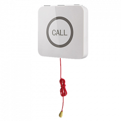 Кнопка вызова iBells 310S влагозащищенная со шнуром для МГН в Бийске